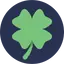 Lucky Store