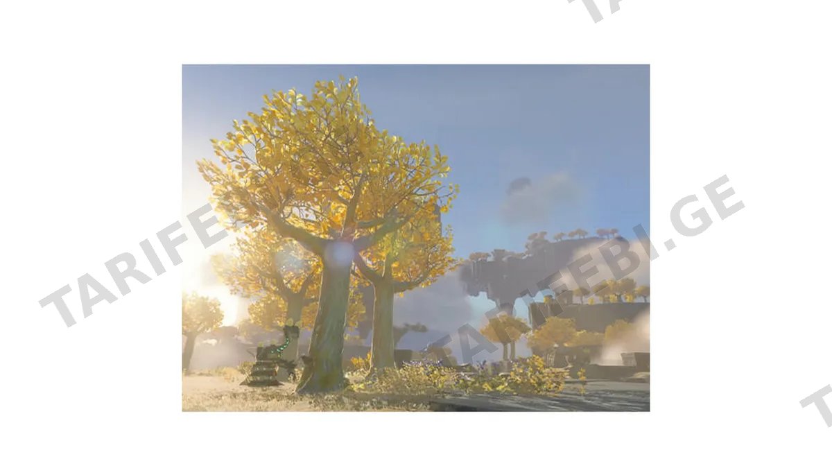 Nintendo Switch 2 Game Legend of Zelda Tears of the Kingdom