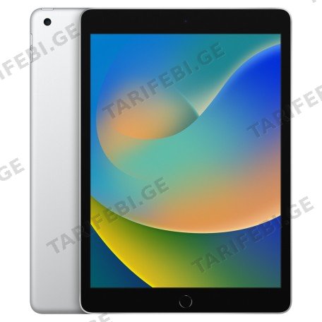 Apple iPad 9th Generation 10.2-inch Silver Wi-Fi + Cellular (2021)