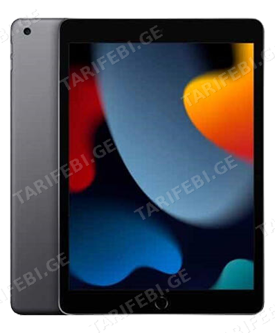 Apple iPad 9th Gen 10.2 (2021)